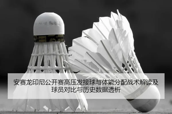 an-sai-long-yin-ni-gong-kai-sai-gao-ya-fa-jie-qiu-yu-ti-neng-fen-pei-zhan-shu-jie-du-ji-qiu-yuan-dui-bi-yu-li-shi-shu-2-212.jpg